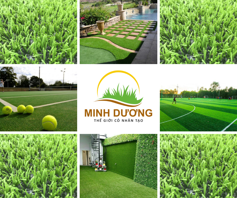 Minh Dương Sports - Địa chỉ bán cỏ nhân tạo chất lượng